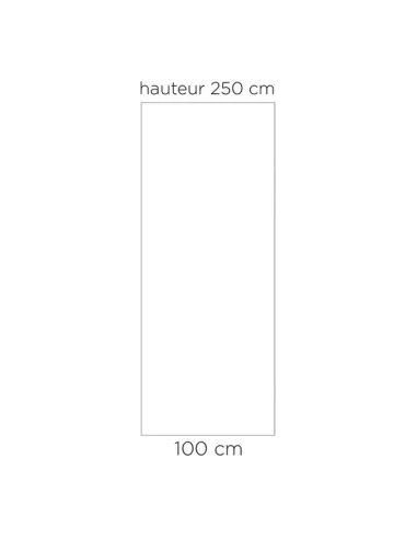 Panneau mural douche Kinedo Kinewall blanc satiné 100x250 cm