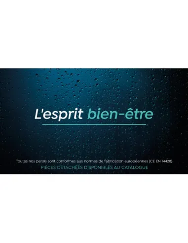 Volet de douche pivotant Transparence-P 35x200 cm Odyssea