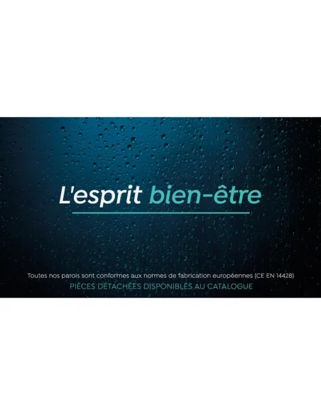 Volet de douche pivotant Transparence-P 35x200 cm Odyssea